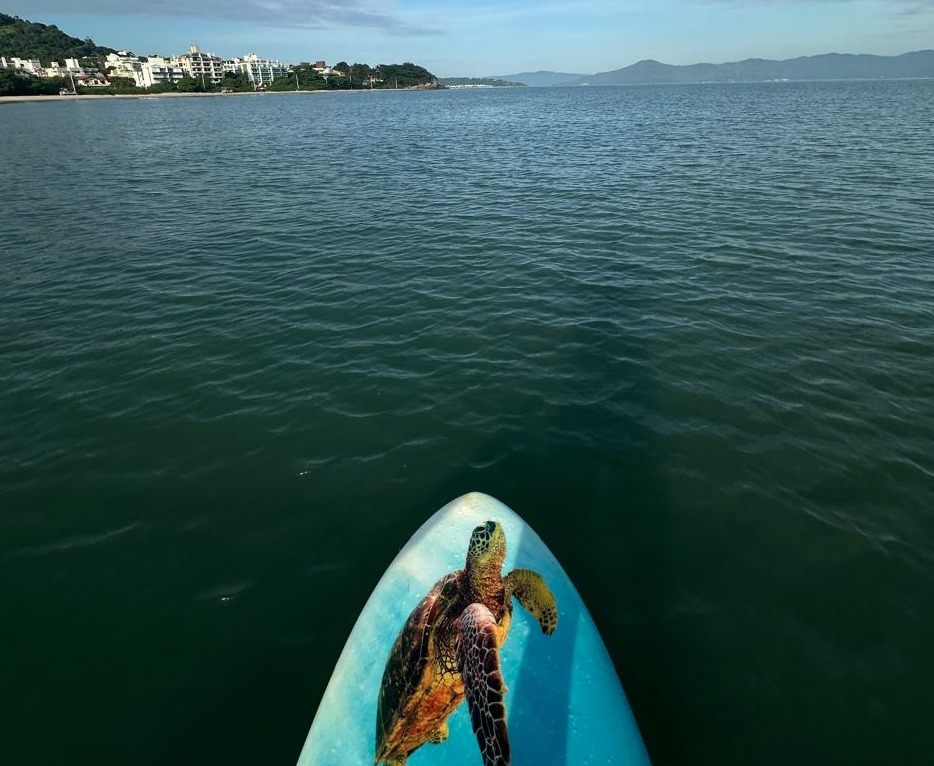 SUP in Canasvieiras, flat-calm ocean